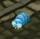 Larva Transformation