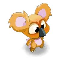 Immature Koalak