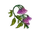 Campanillas