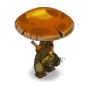 Bolete Master