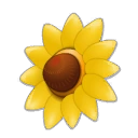 Wild Sunflower Shield