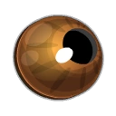 Torpid Bearbarian Iris