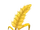 Wheat