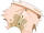 Fetzen von Gurrlos Unterschlüpfer