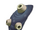 Bivalve