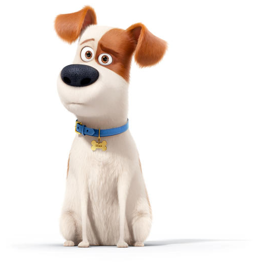 Max and dog sales