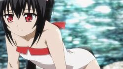 Noir Vinocacao Dog Days Wiki Fandom Noir Vinocacao Dog Days Wiki Fandom
