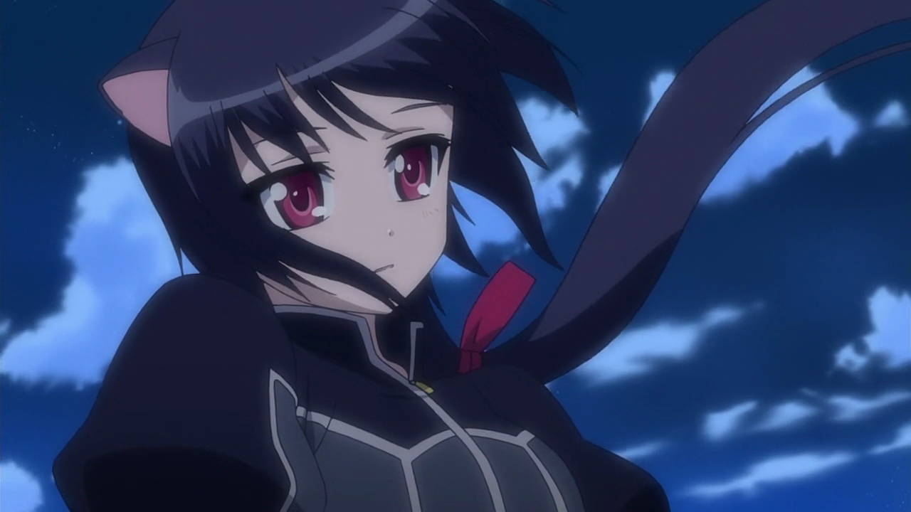 Anime Characters Database on X: Do You Like Noir Vinocacao from #anime Dog  Days   / X