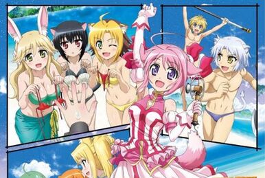 DD3 Episode 8: Recollection: The Story of the Hero and the Princess, Dog  Days Wiki