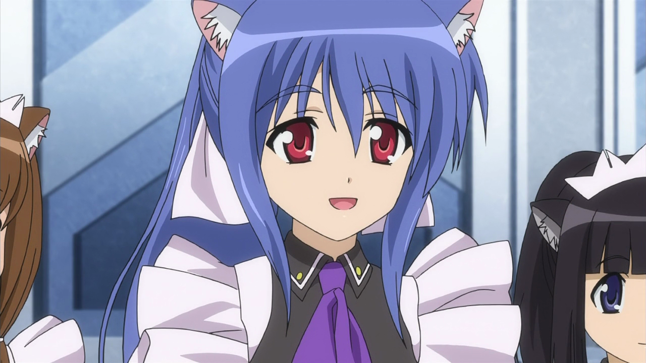 dog days character-Violet amaretto