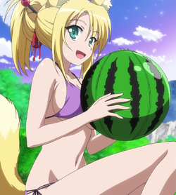 Yukikaze Panettone Dog Days Wiki Fandom Yukikaze Panettone Dog Days Wiki Fandom