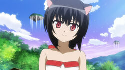 Noir Vinocacao Dog Days Wiki Fandom Noir Vinocacao Dog Days Wiki Fandom