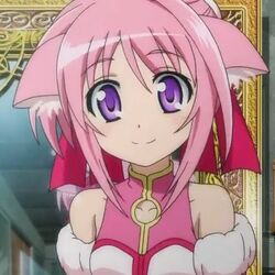 DOG DAYS'' Vol.5, Dog Days Wiki