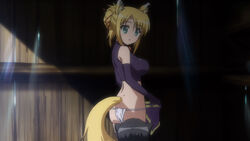 Yukikaze Panettone, Dog Days Wiki