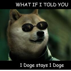 1 Doge = 1 Doge