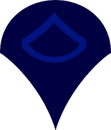 Specialist Insignia