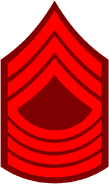 Master Gunnery Sergeant Insignia