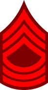 Master Sergeant Insignia