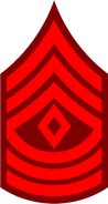 First Sergeant Insignia