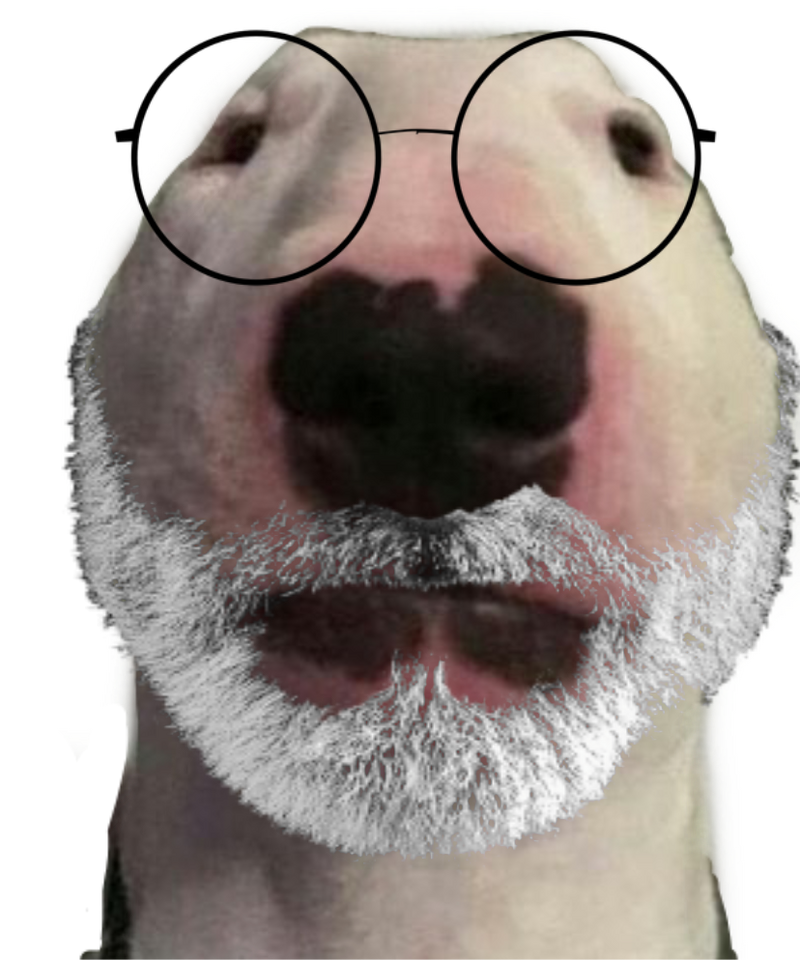 Walter Sr. | Dogelore Wiki | Fandom