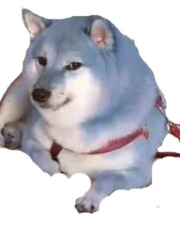 Blue Doge Dogelore Wiki Fandom Seeking for free doge png images? blue doge dogelore wiki fandom