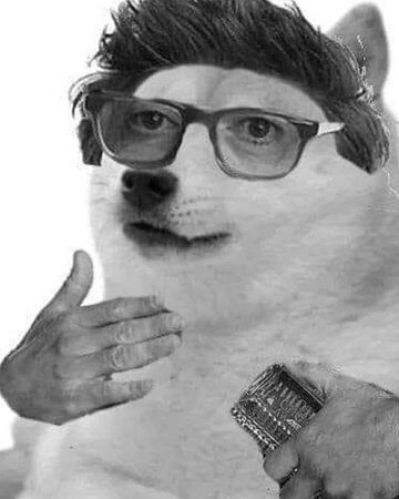 wallpapers Im Stuff Meme Original stuff dogelore wiki fandom