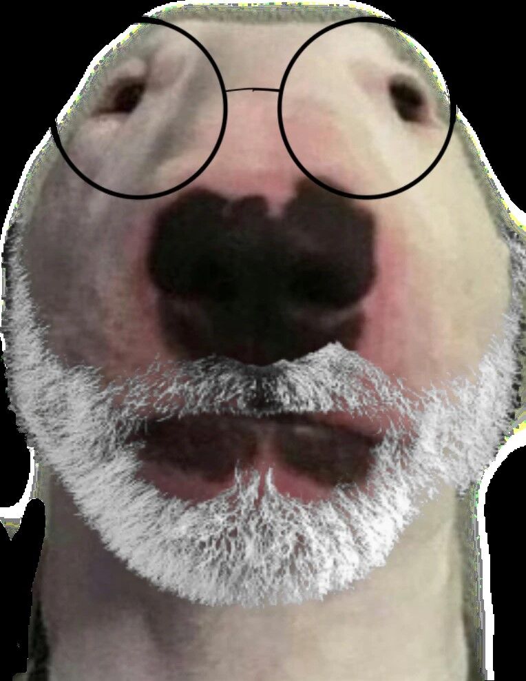 WalterSr.jpg