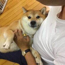 Cuddle.jpg