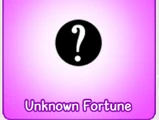 Unknown Fortune