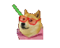 Party Shibe 2
