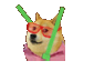 Party Shibe 3