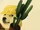 Potted Cactus