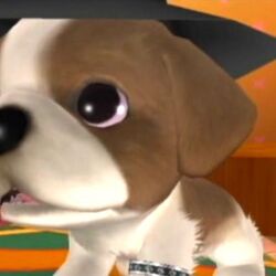 Category Characters In Pupsville The Dog Island Wiki Fandom Category Characters In Pupsville The Dog Island Wiki Fandom