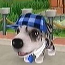 Category Characters In Puroro Town The Dog Island Wiki Fandom Category Characters In Puroro Town The Dog Island Wiki Fandom