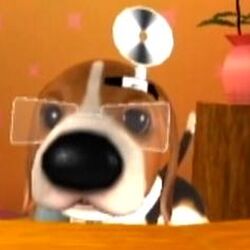 Category Characters The Dog Island Wiki Fandom