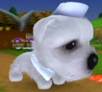 Francis The Dog Island Wiki Fandom Francis The Dog Island Wiki Fandom
