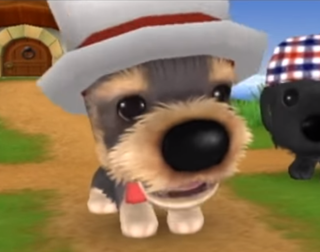 dog island wii game