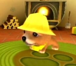 Dorothy The Dog Island Wiki Fandom Dorothy The Dog Island Wiki Fandom