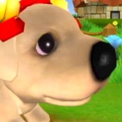 Category Characters In Pupsville The Dog Island Wiki Fandom