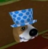 Carol | The Dog Island Wiki | Fandom