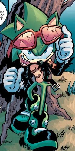 🕶️Scourge the hedgehog🕶️, Wiki