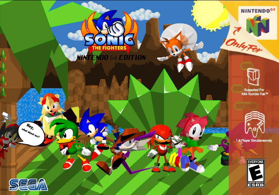 Sonic the Fighters - Game Overview