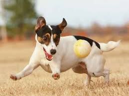 BALL!!!.jpg