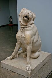 640px-Molossian Hound, British Museum