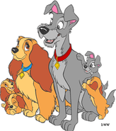 Scamp | Dog Wiki | Fandom