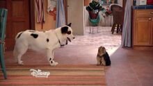 Sparky and stan.jpg