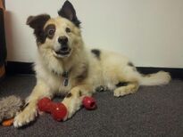 Kuma in his "DWAB" dressing room.