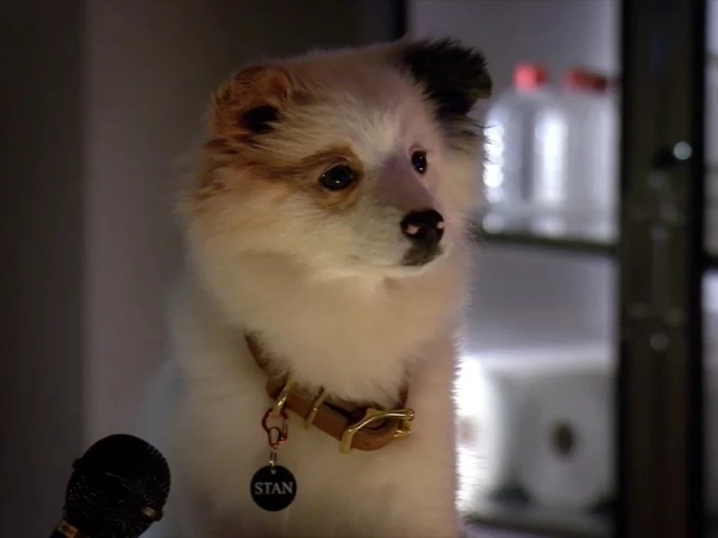 Stan | Dog With A Blog Wiki | Fandom