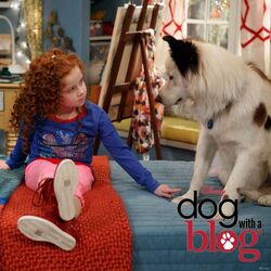 how old is chloe in dog with a blog
