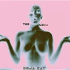 THE LEMA (November 24)